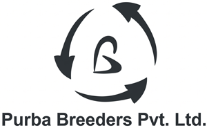 Logo 10